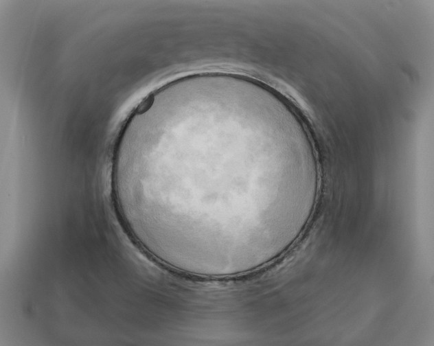 X0000113301504200910051031