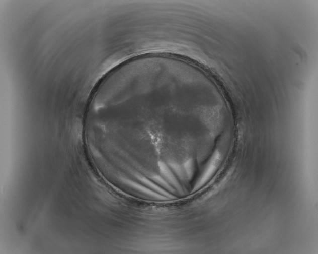 X0000113301505200910051031