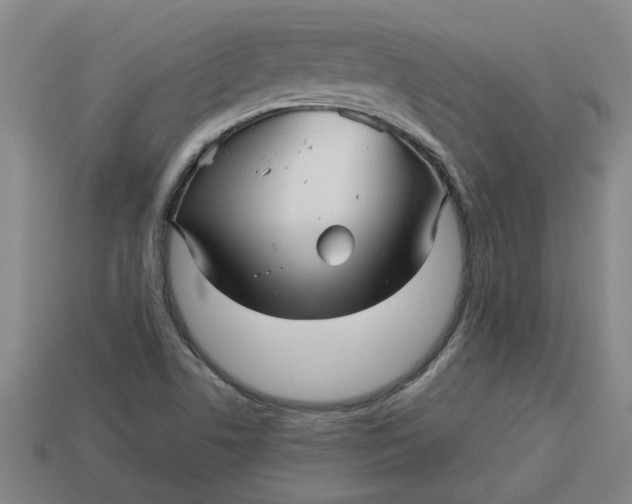 X0000113301506200910051031