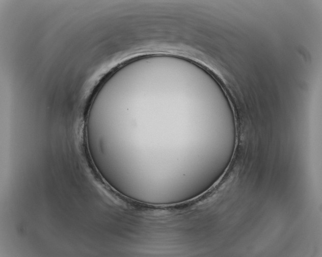 X0000113301507200910051031