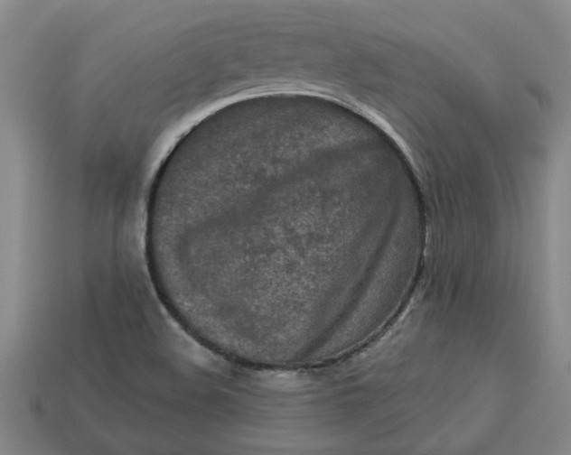 X0000113301508200910051031