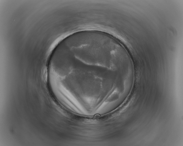 X0000113301509200910051031