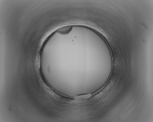 X0000113301510200910051031