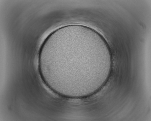 X0000113301511200910051031