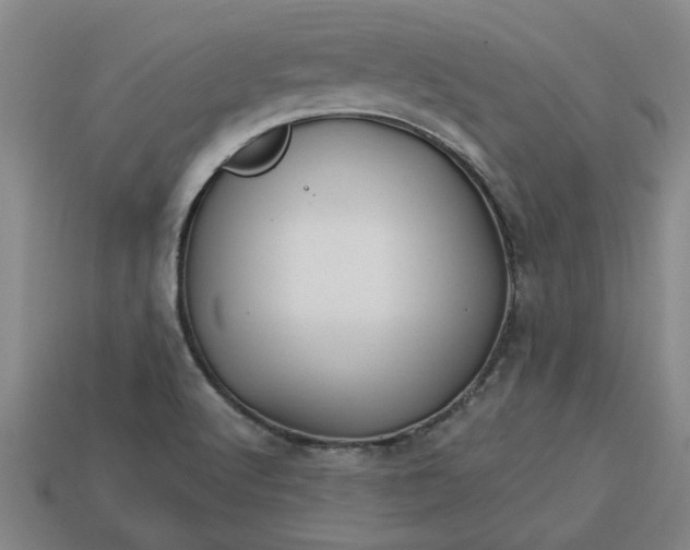 X0000113301512200910051031