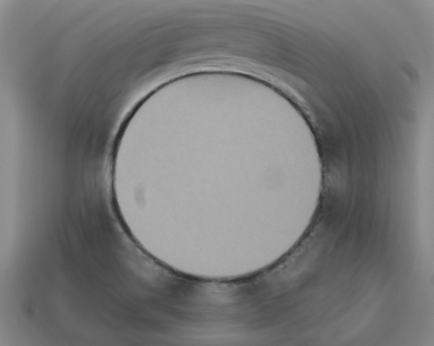 X0000113301514200910051031