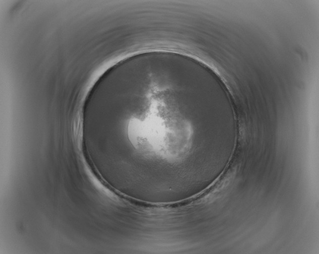 X0000113301515200910051031