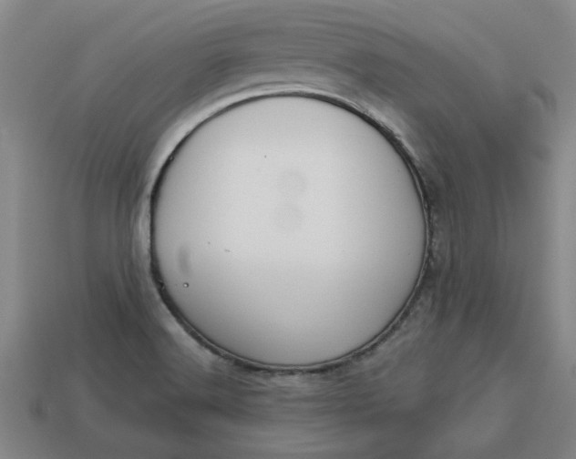 X0000113301516200910051031