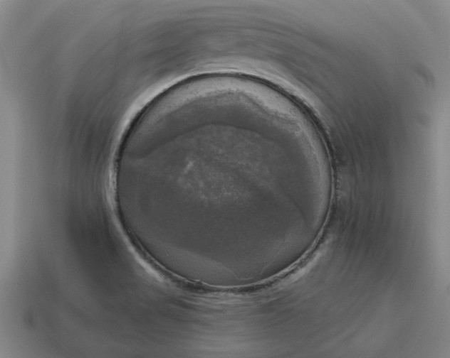 X0000113301517200910051031