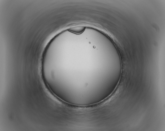 X0000113301518200910051031