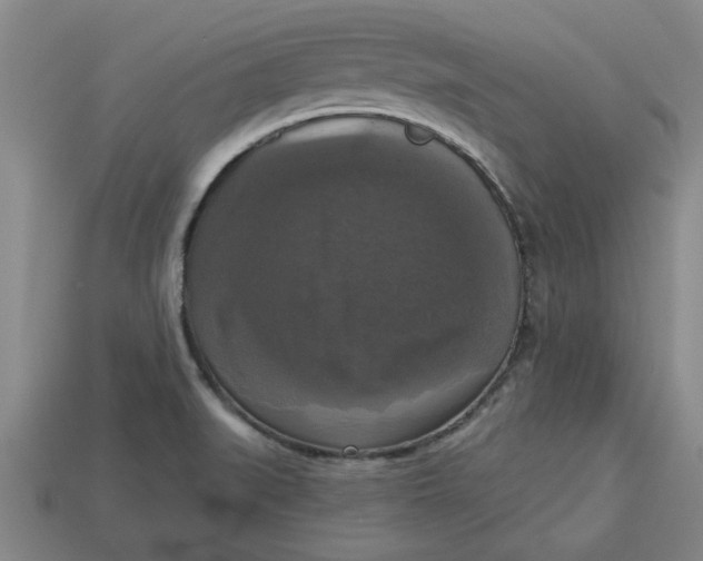 X0000113301519200910051031