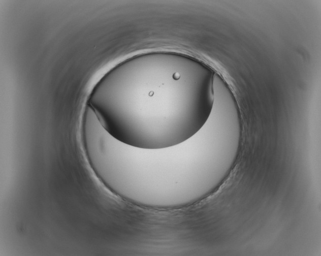 X0000113301520200910051031