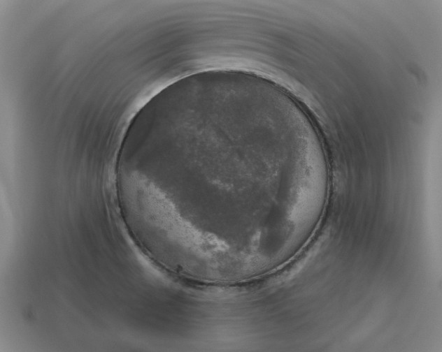 X0000113301521200910051031