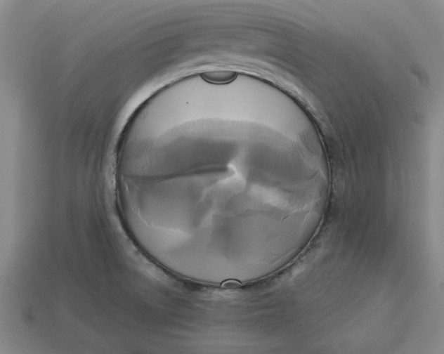 X0000113301522200910051031