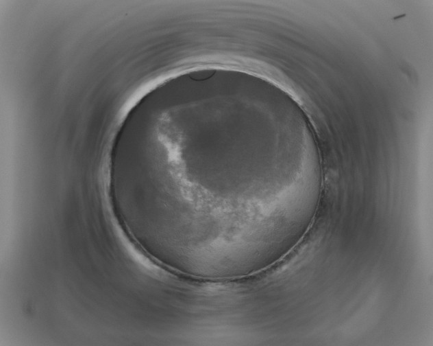 X0000113301523200910051031