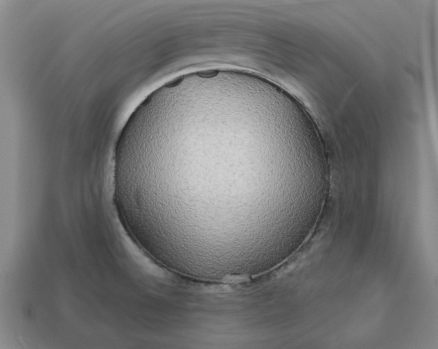 X0000113301524200910051031