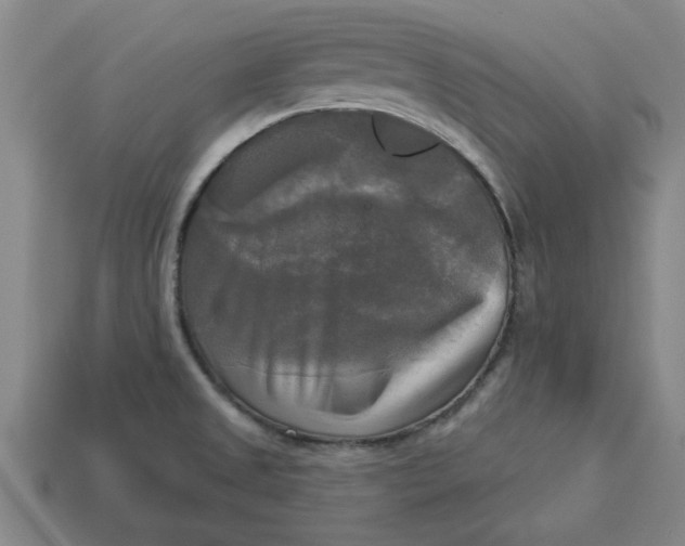 X0000113301525200910051031