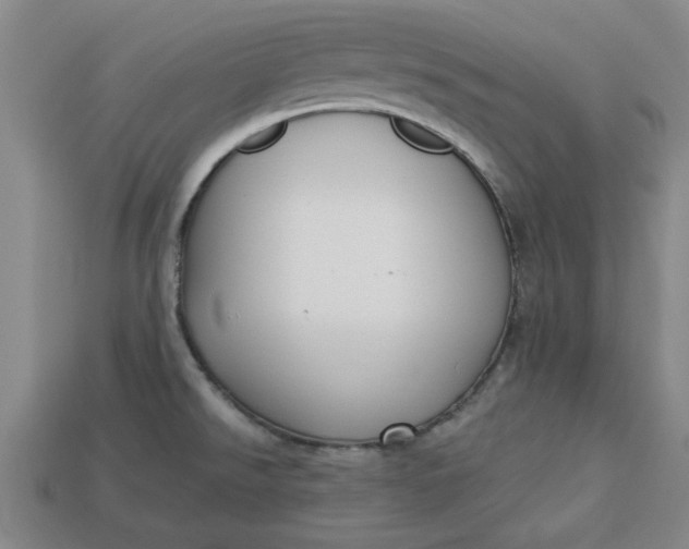 X0000113301526200910051031