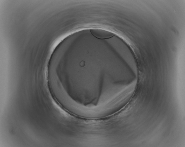 X0000113301527200910051031