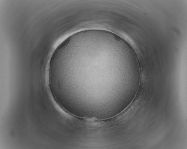 X0000113301528200910051031