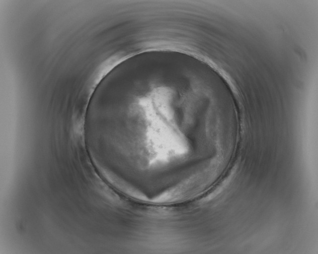 X0000113301529200910051031