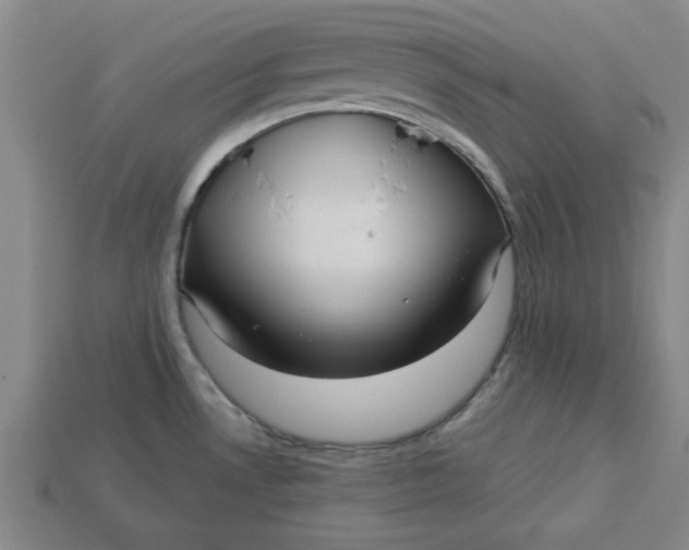 X0000113301530200910051031