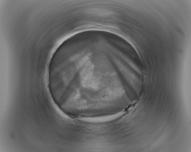 X0000113301531200910051031