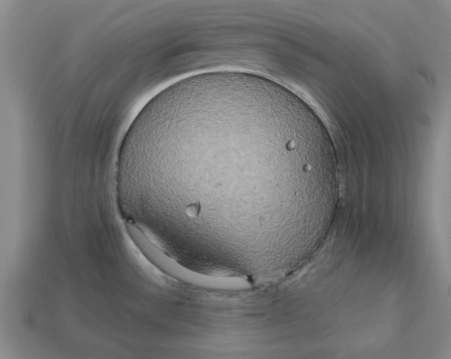 X0000113301532200910051031