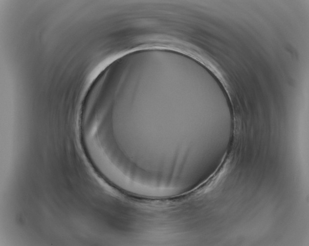 X0000113301533200910051032