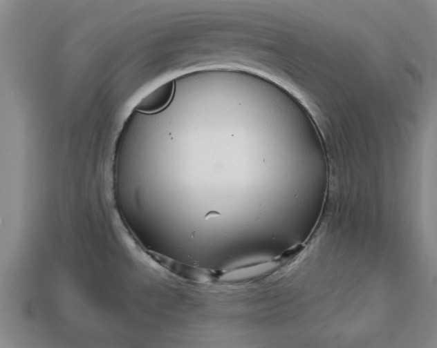 X0000113301534200910051032