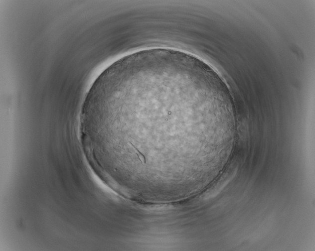 X0000113301535200910051032