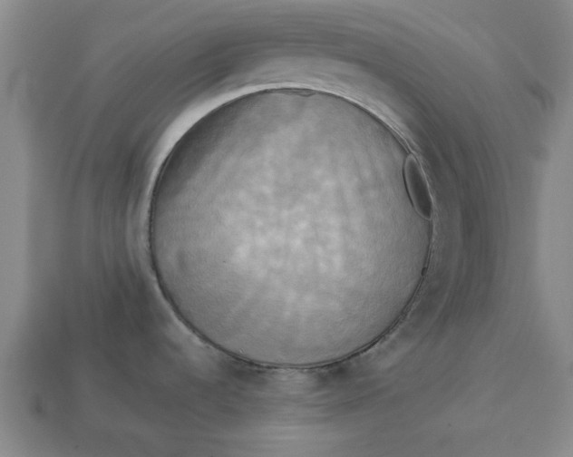 X0000113301536200910051032