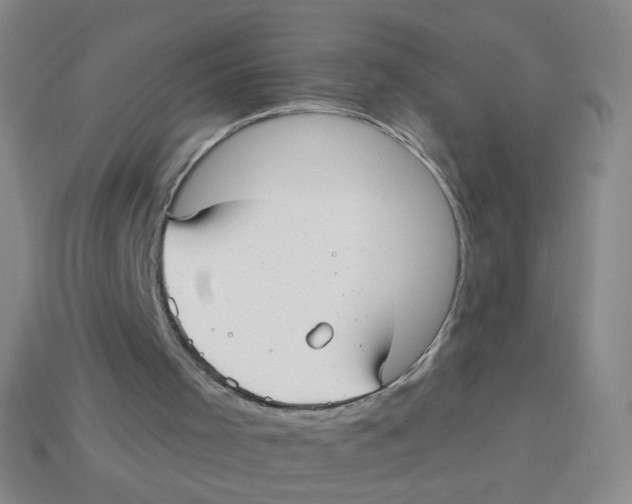 X0000113300001200910131057