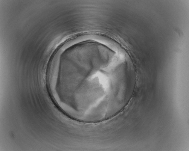 X0000113300002200910131057