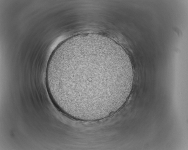 X0000113300003200910131057