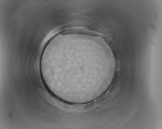 X0000113300004200910131057