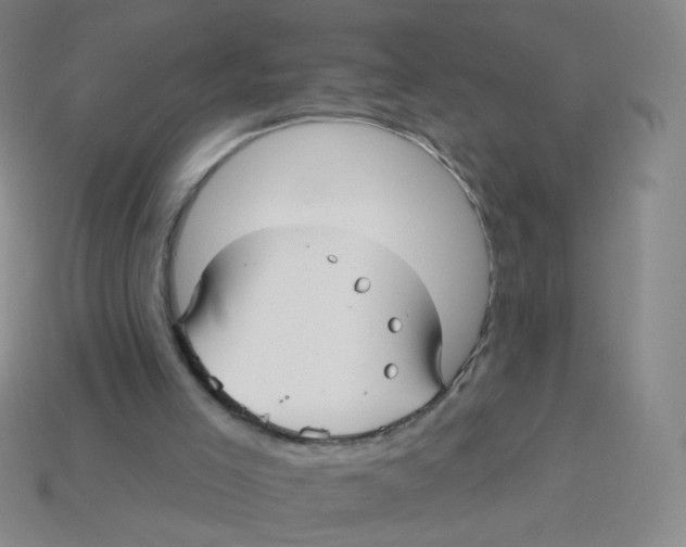 X0000113300005200910131057