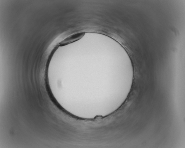 X0000113300007200910131057