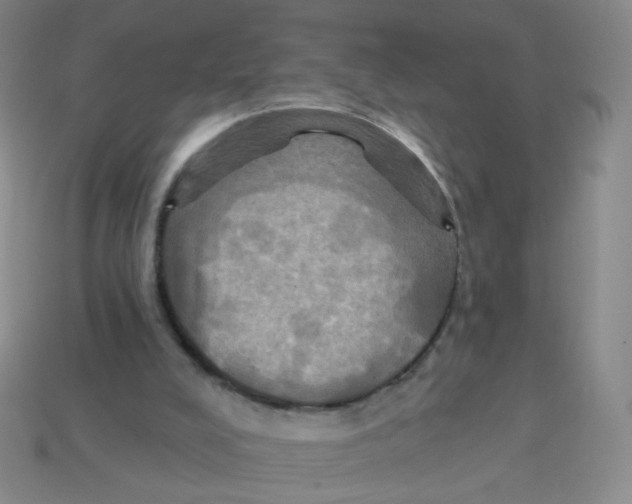 X0000113300008200910131057