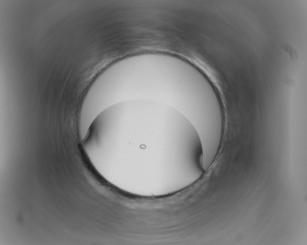 X0000113300009200910131056