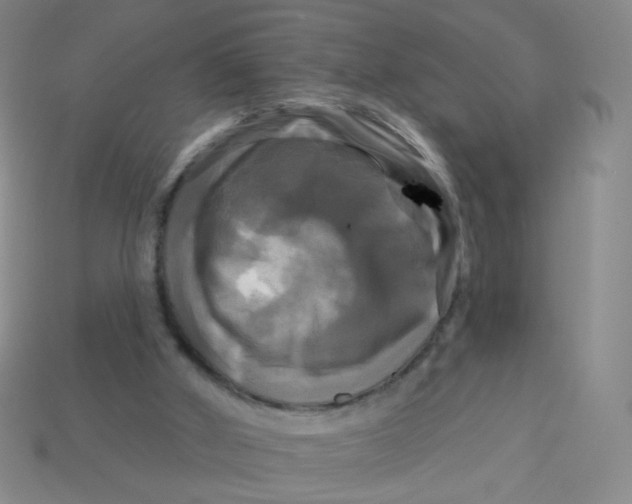 X0000113300010200910131056