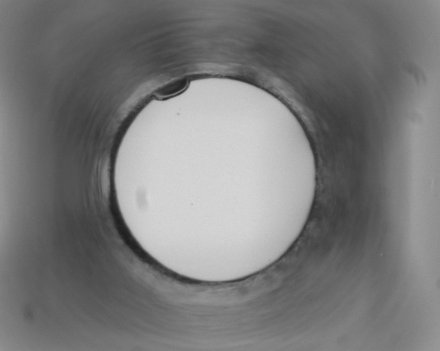 X0000113300011200910131056