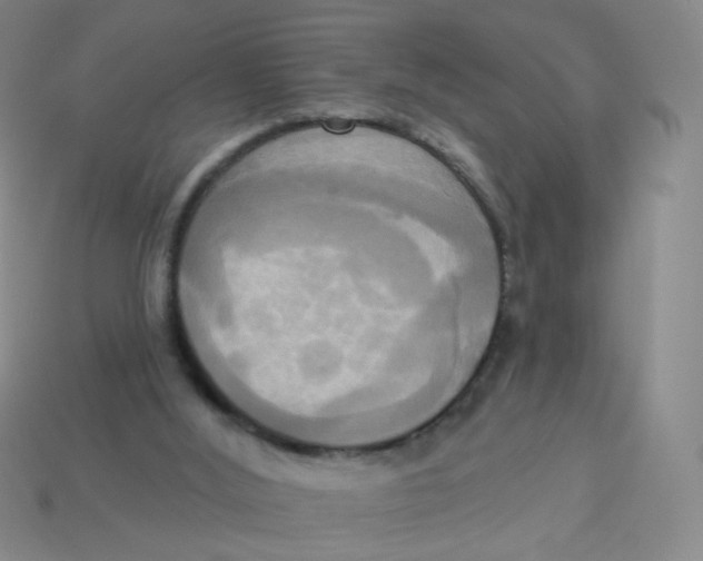 X0000113300012200910131056
