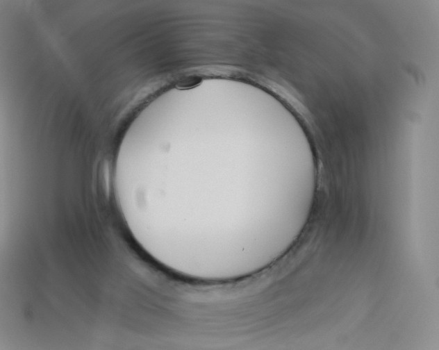 X0000113300013200910131056