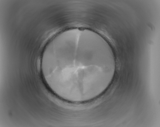 X0000113300014200910131056