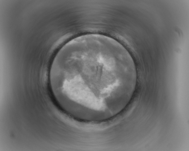 X0000113300016200910131056