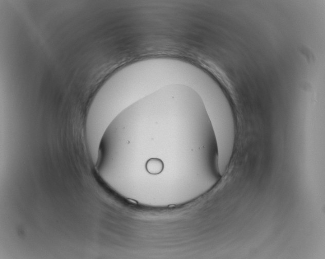 X0000113300017200910131056