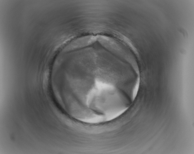 X0000113300018200910131056