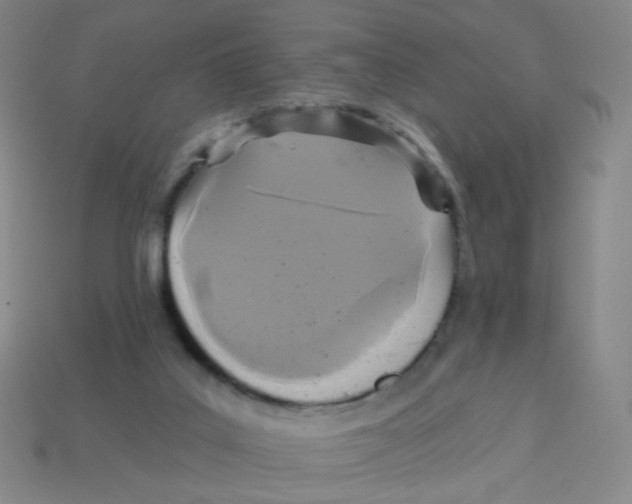 X0000113300019200910131056