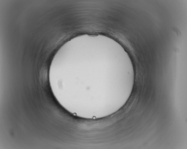 X0000113300021200910131056